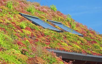 South Twerton living roof systems