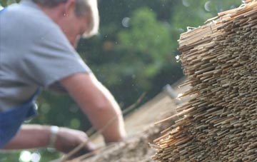 professional South Twerton thatchers