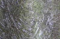 South Twerton fibreglass roof work